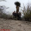 0_Mexico2019