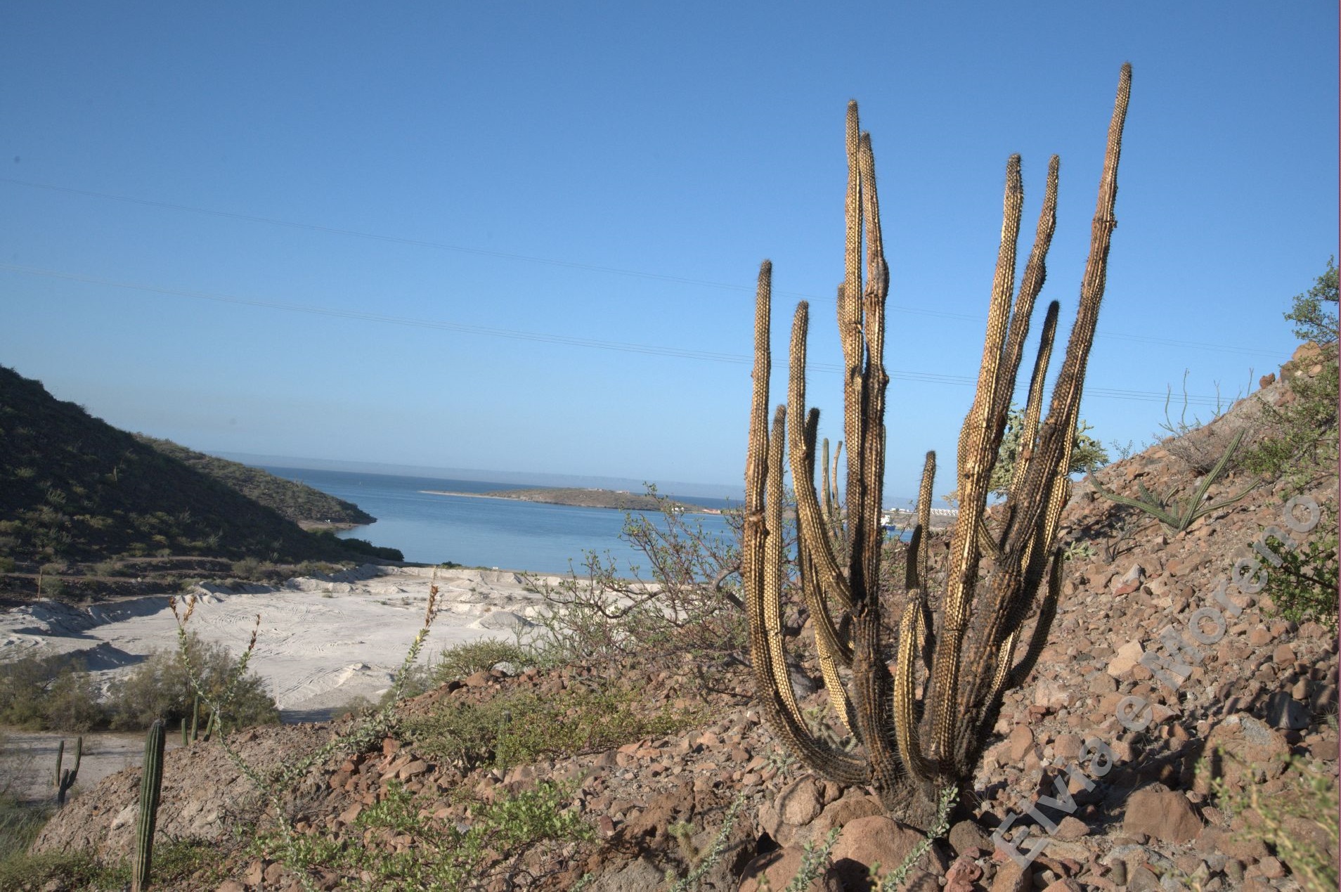 Sbarco in Baja