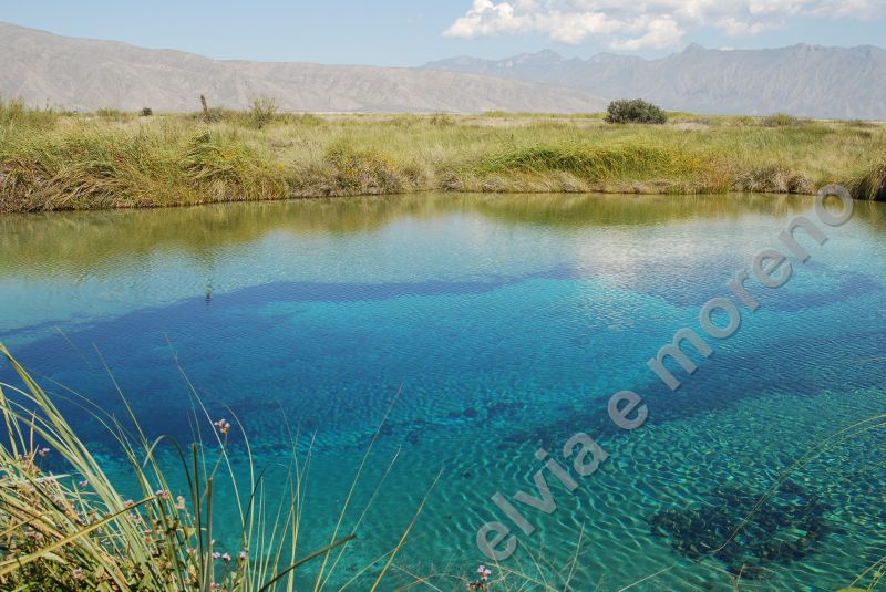 Poza Azul